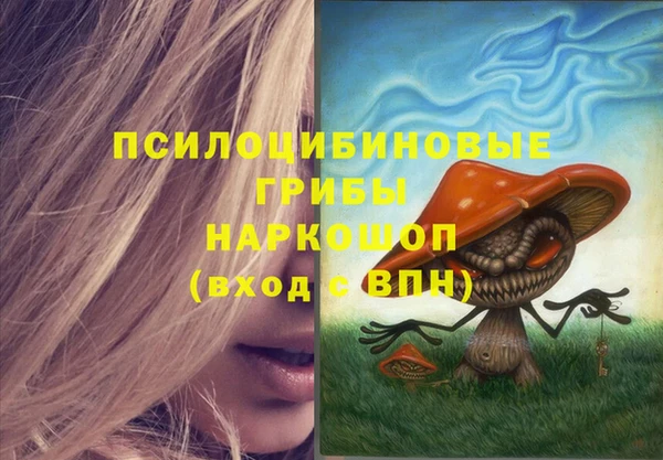 PSILOCYBIN Верея