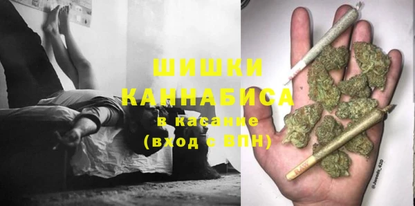PSILOCYBIN Верея