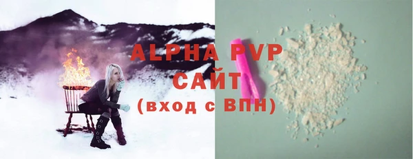 PSILOCYBIN Верея